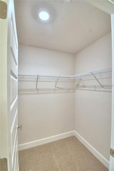 Spacious, unfurnished interior of a new home in Knights Landing, Lakeland (Image 22). Spacious, unfurnished interior of a new home in Knights Landing, Lakeland (Image 22).