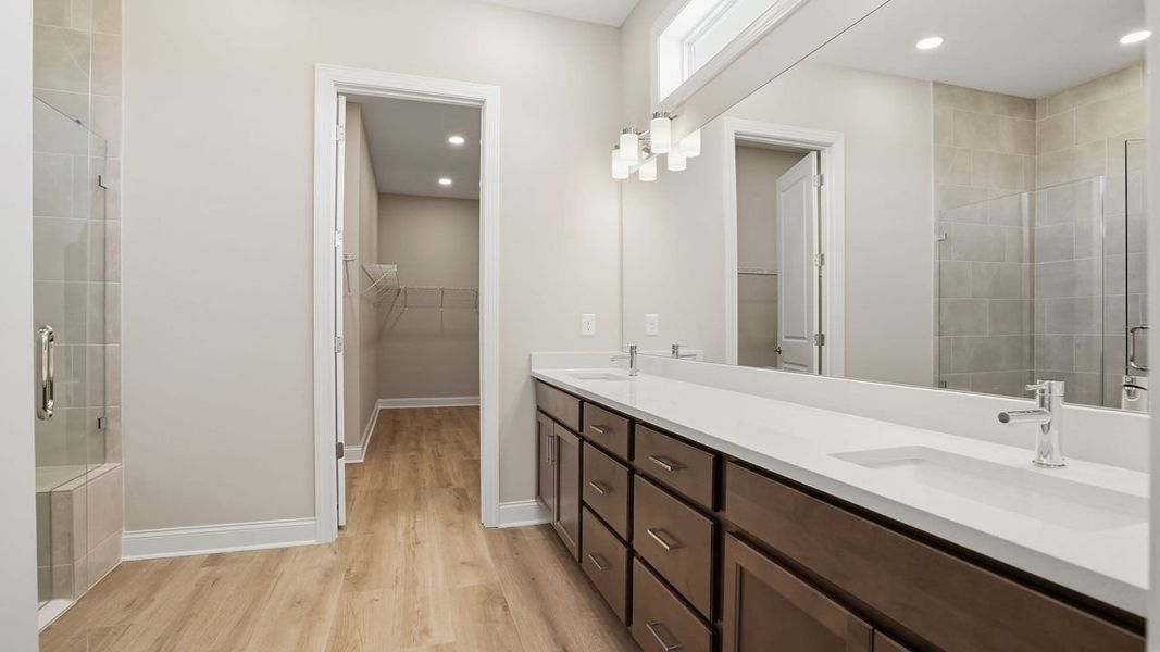 Owner's Bath