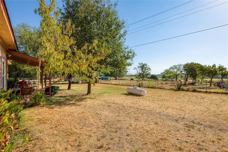 Fenced in Backyard