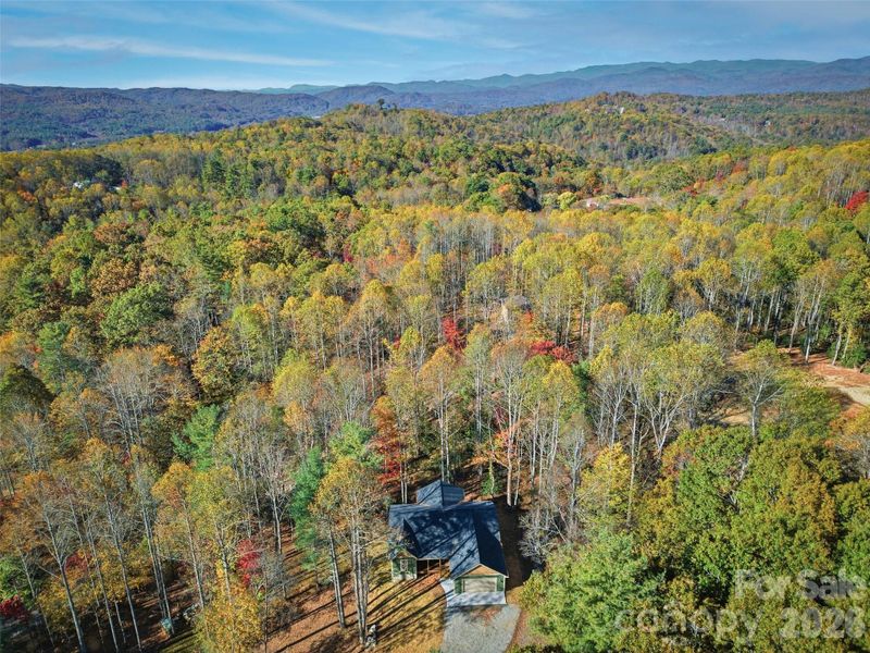 Natural landscape and outdoor views near  in Hendersonville (Image 37).