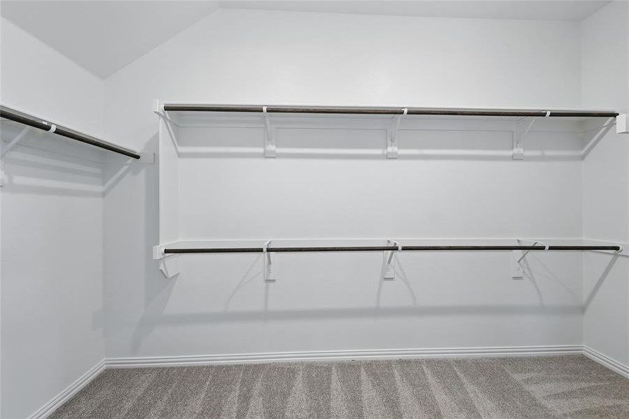 Walk in closet featuring carpet