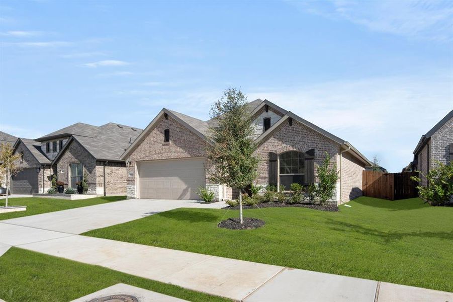 10341 Tapioca- Front-2