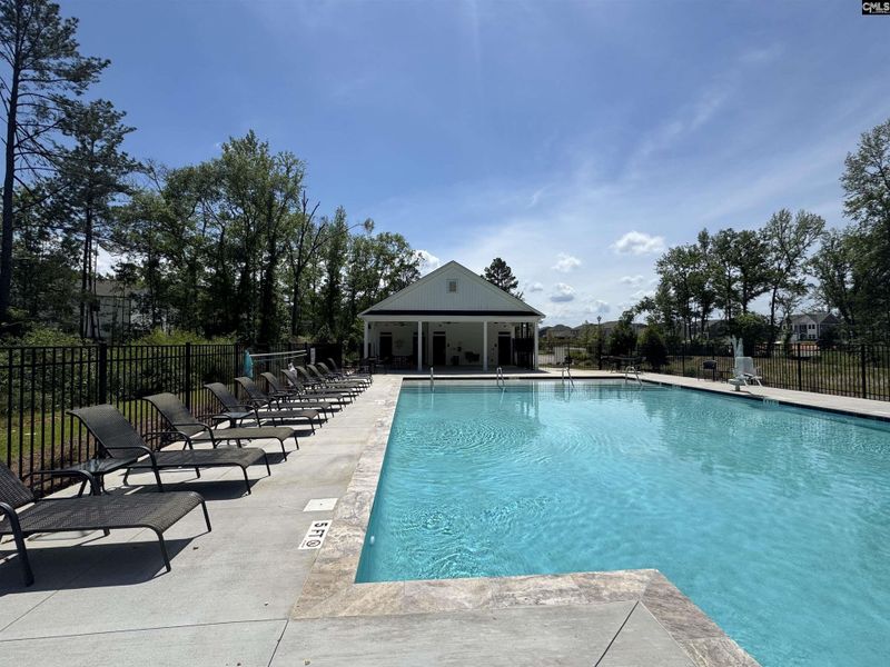 Community amenities in Boykin Hills, Chapin (Image 34).