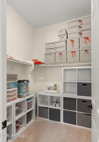Huge Walk in Closet Guest Room