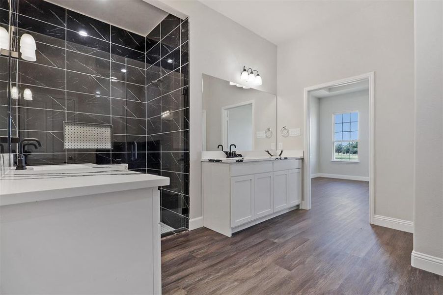 Bathroom with wood-type flooring and vanity