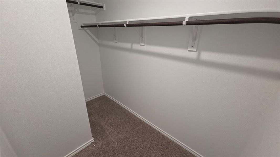 Walk-in closet with carpet flooring, white walls, and two levels of shelving and hanging rods Walk-in closet with carpet flooring, white walls, and two levels of shelving and hanging rods