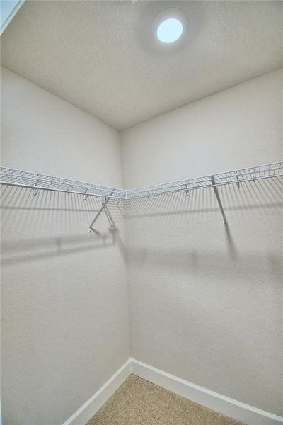 Spacious, unfurnished interior of a new home in , Lake Wales (Image 48).