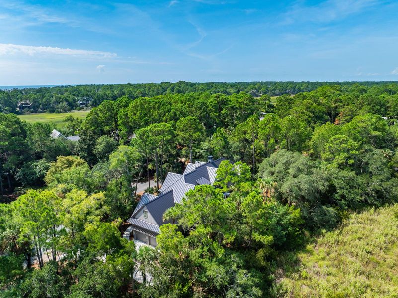 Natural landscape and outdoor views near  in Kiawah Island (Image 70).