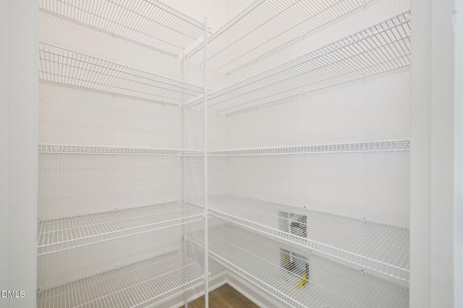 19-web-or-mls-Salers Loop-S1902-019 - Co