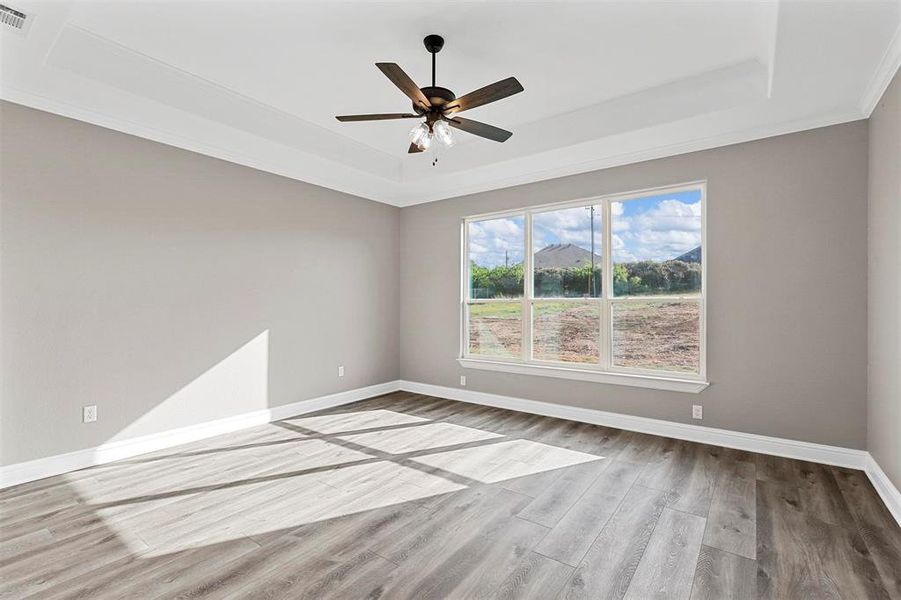 Unfurnished room with ceiling fan, hardwood / wood-style floors, and a raised ceiling