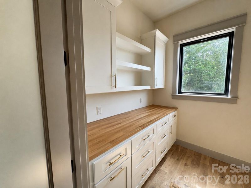 Walk-in pantry with custom cabinetry and extensive storage