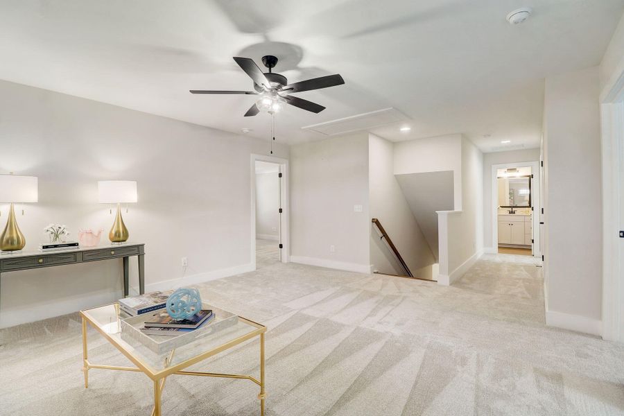 30-web-or-mls-Irish Setter St-028 30-web-or-mls-Irish Setter St-028