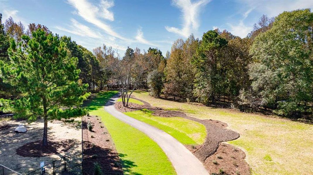 Natural landscape and outdoor views near Twin Lakes in Hoschton (Image 37).