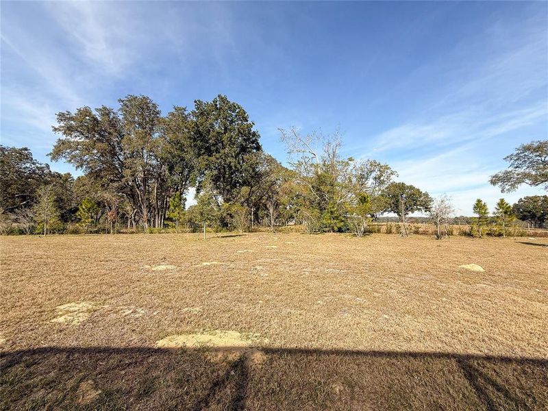 Natural landscape and outdoor views near  in Minneola (Image 35).