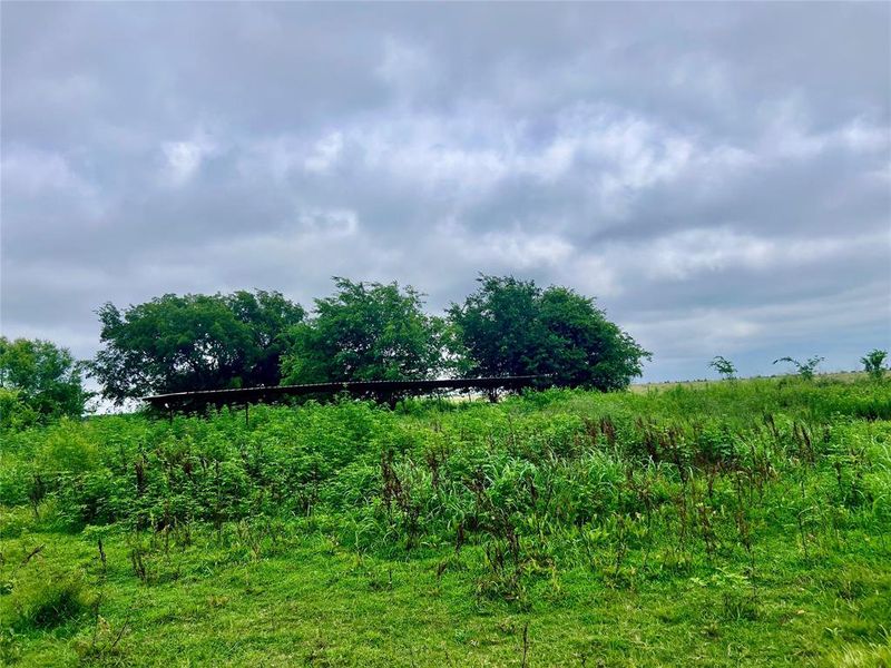 View of nature View of nature