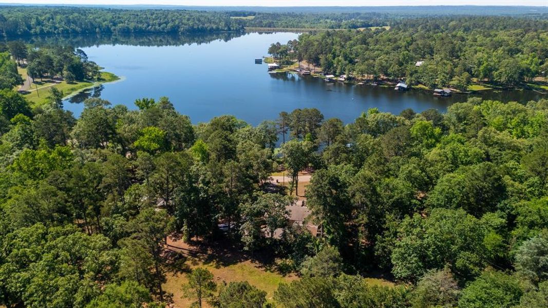 Expansive freshwater lake bordered by dense, mature trees