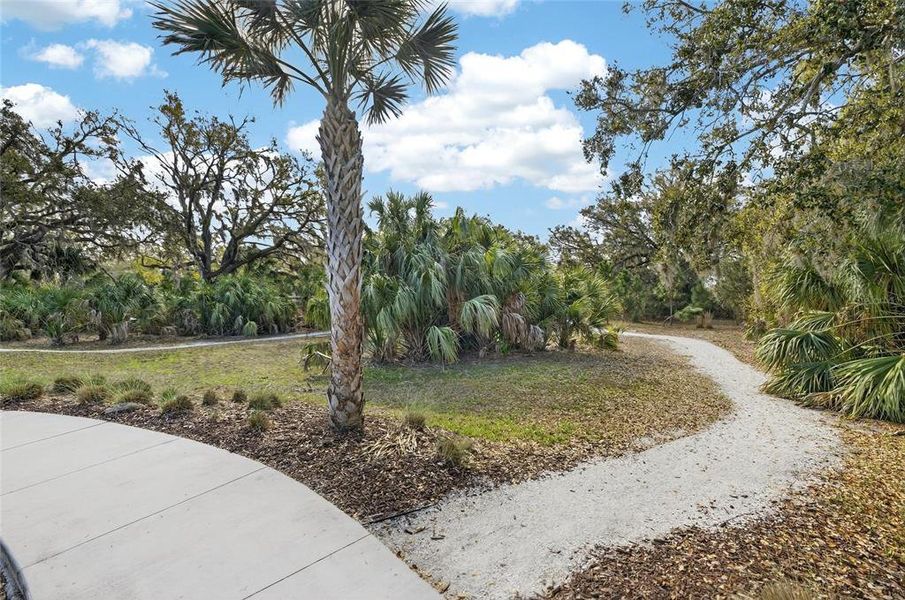 Natural landscape and outdoor views near Summerwoods in Parrish (Image 67).