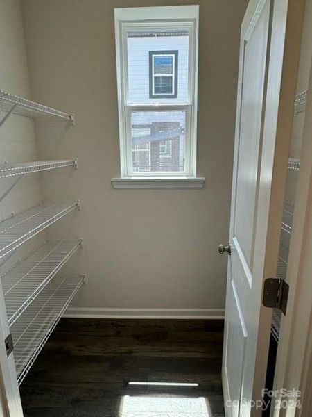 Walk in Pantry off kitchen