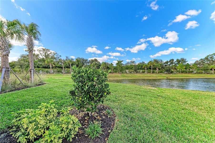 Natural landscape and outdoor views near  in Bradenton (Image 54).
