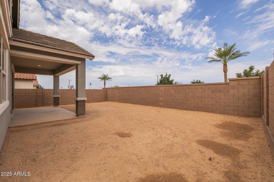 40)BACKYARD 40)BACKYARD