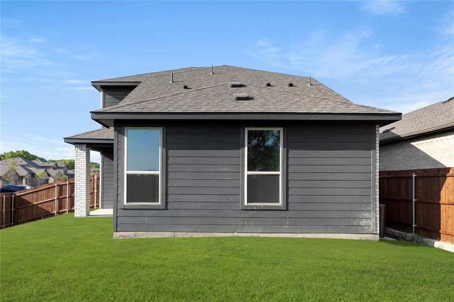 26. 3101 Yellow Pine - Back