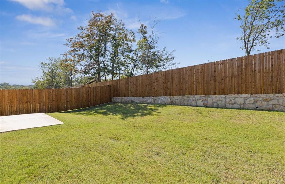 Oversized backyard Oversized backyard