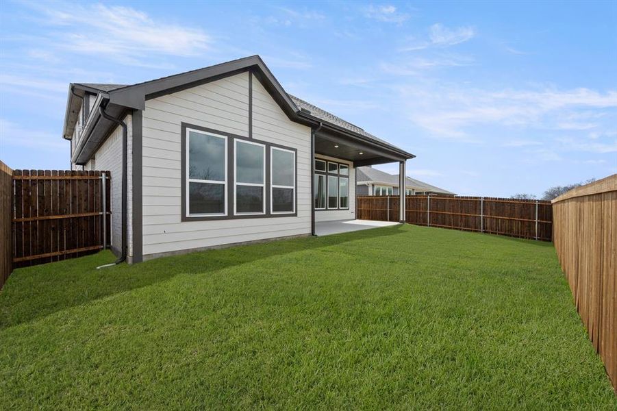 1729 Nesting Robin- Back-2