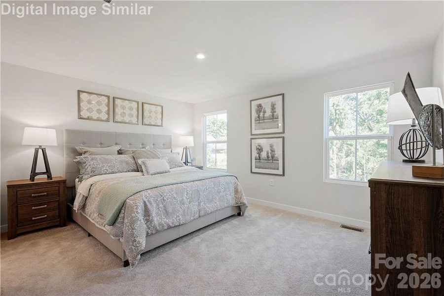 DOMINICA SPRING- OWNER'S SUITE. Illustrative purposes only