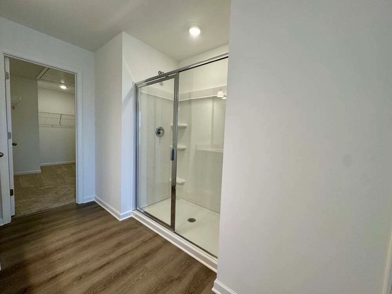 Primary Bathroom Walk-In Closet