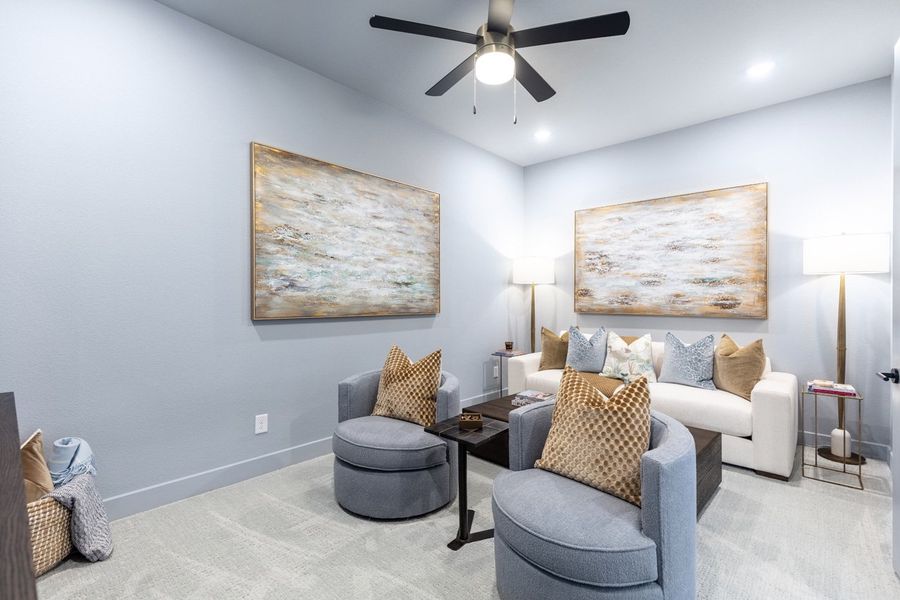 Entertainment Room