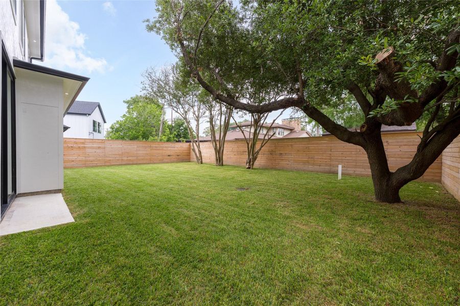 A spacious backyard with room to enjoy and unwind