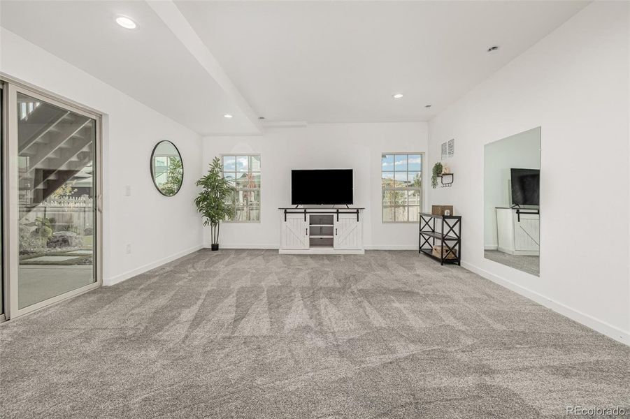 Basement Living Room