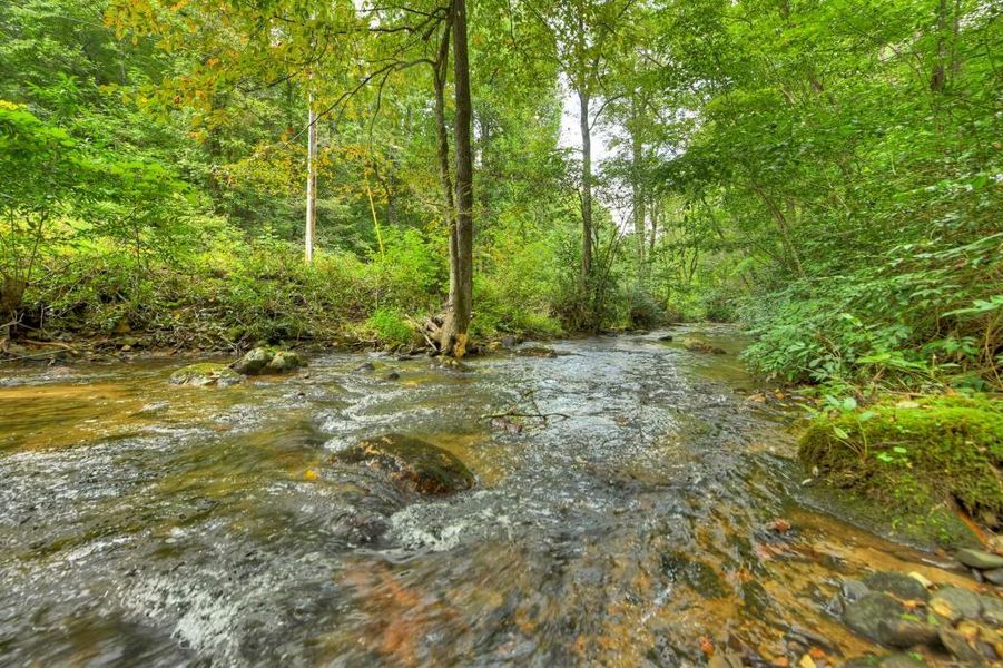 Natural landscape and outdoor views near in Cherry Log (Image 57). Natural landscape and outdoor views near in Cherry Log (Image 57).