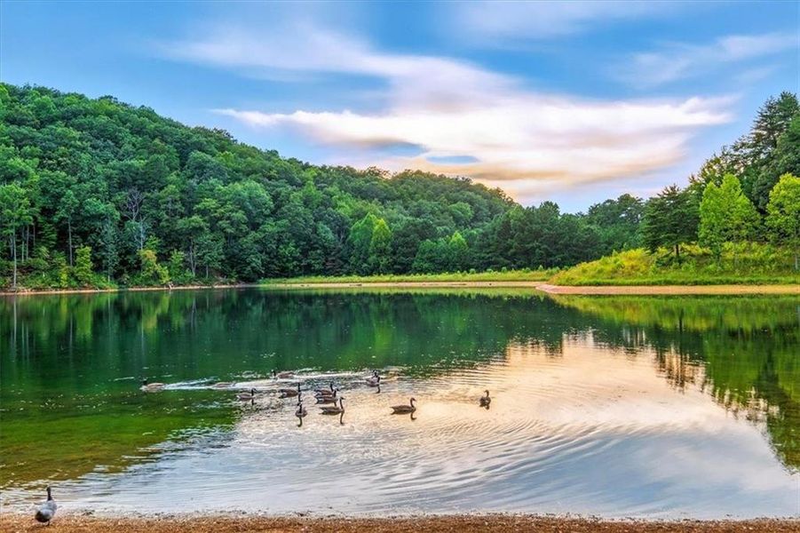 Image 31 of a home in . Image 31 of a home in .