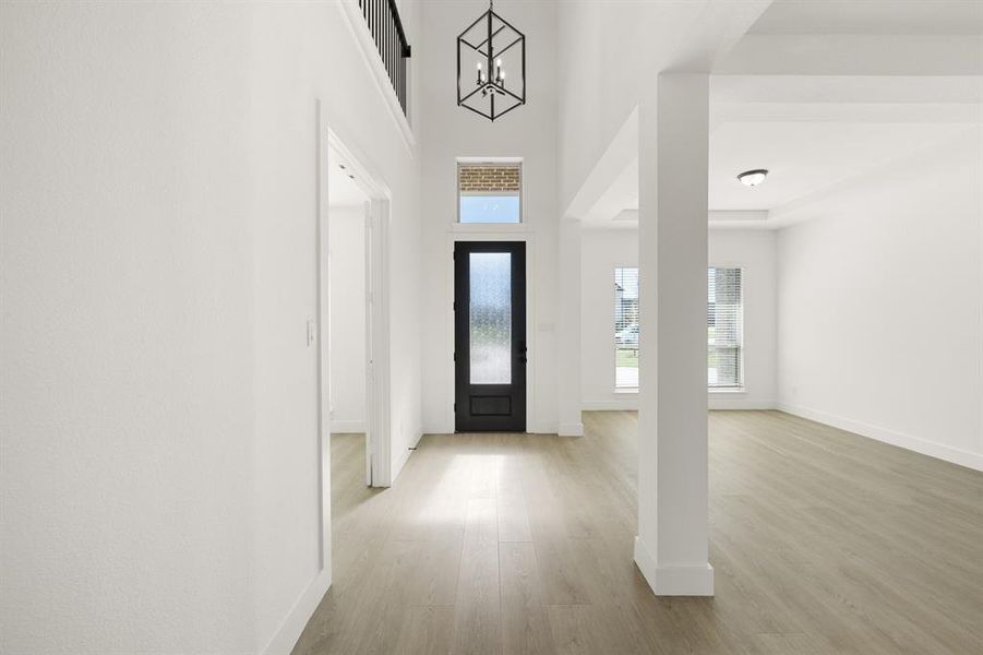 516 Burtin-  entry-1