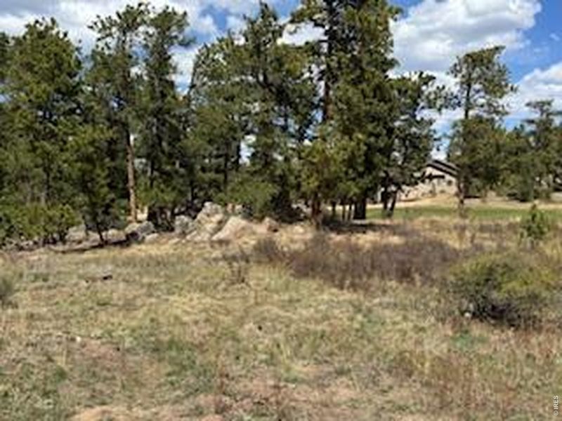 Natural landscape and outdoor views near  in Red Feather Lakes (Image 20).