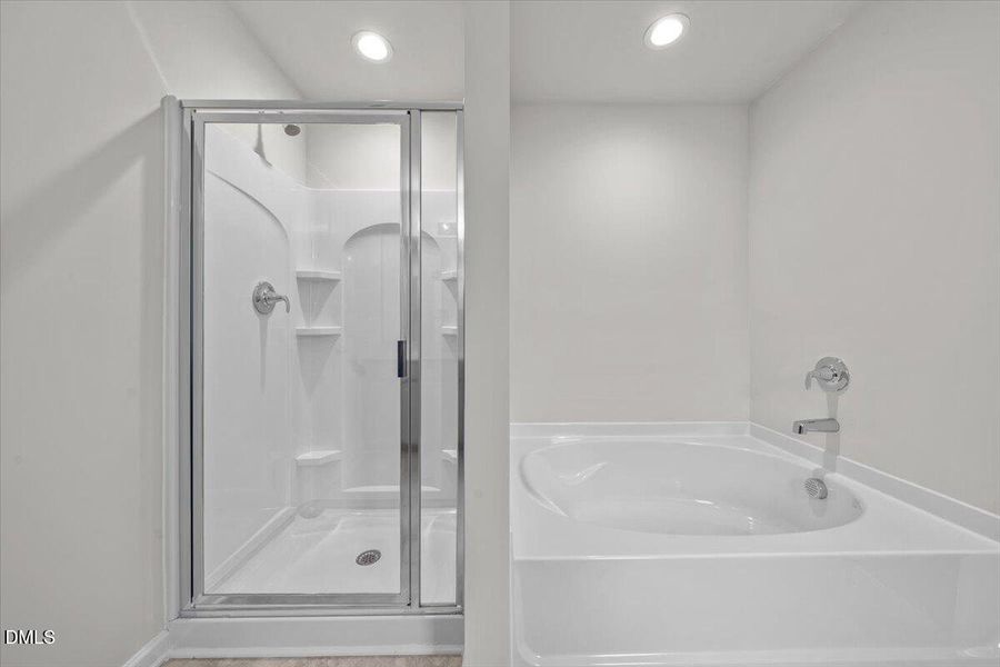 Fay_Stout_17 (26)1 Fay_Stout_17 (26)1