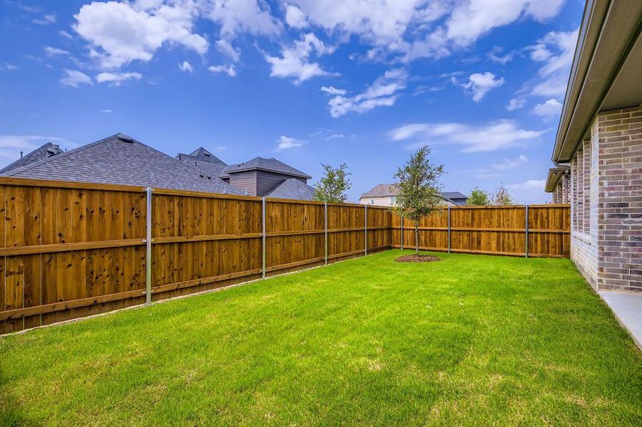 View of fenced backyard