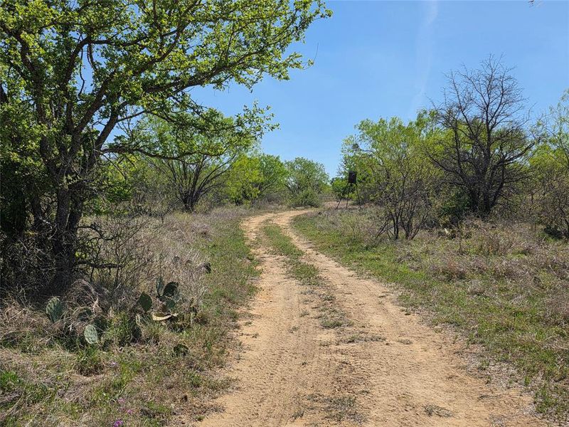 Natural landscape and outdoor views near  in San Saba (Image 18).