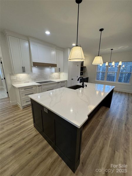 Furnished interior view inside a new home in , Hickory (Image 13). Furnished interior view inside a new home in , Hickory (Image 13).