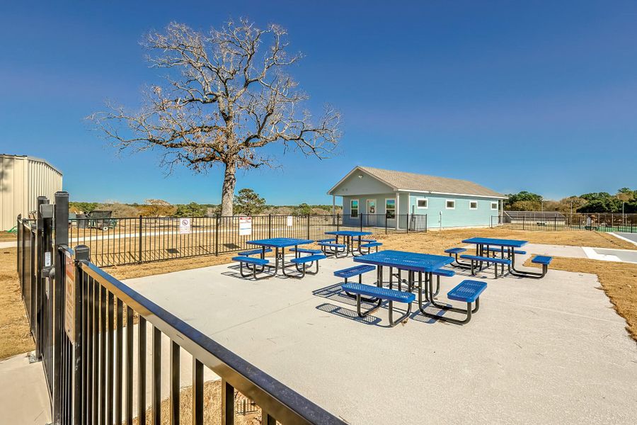 Community amenities in , Trinity (Image 17).