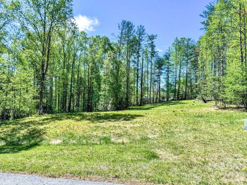 Natural landscape and outdoor views near  in Hendersonville (Image 13).