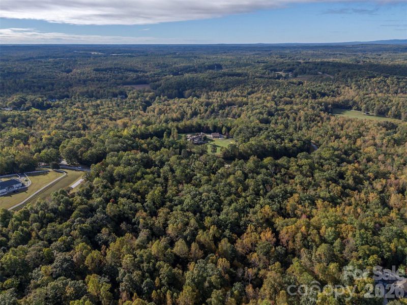 Natural landscape and outdoor views near  in Landrum (Image 7).