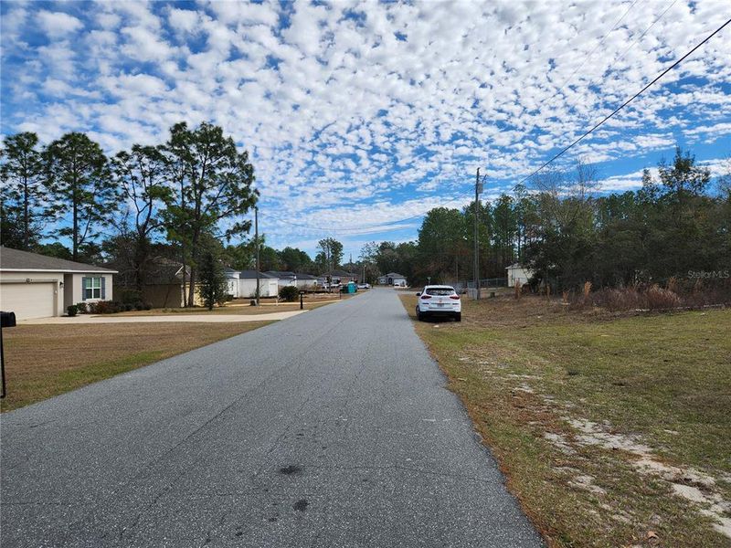 Natural landscape and outdoor views near  in Ocala (Image 79).