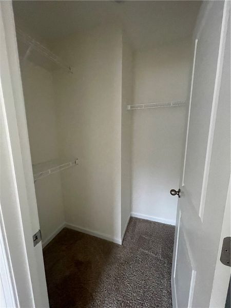 Spacious, unfurnished interior of a new home in Springwood Grove, Central (Image 32).