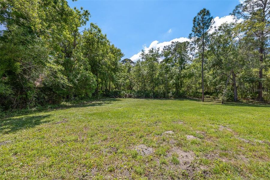 Natural landscape and outdoor views near in Kissimmee (Image 50). Natural landscape and outdoor views near in Kissimmee (Image 50).