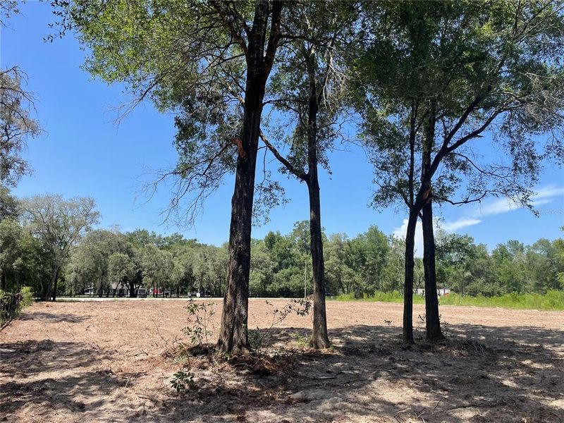 Natural landscape and outdoor views near in Dunnellon (Image 46). Natural landscape and outdoor views near in Dunnellon (Image 46).