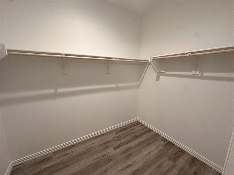 Walk in closet featuring dark wood-type flooring