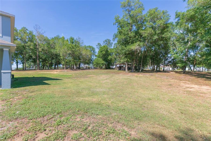 Natural landscape and outdoor views near  in Dade City (Image 52).