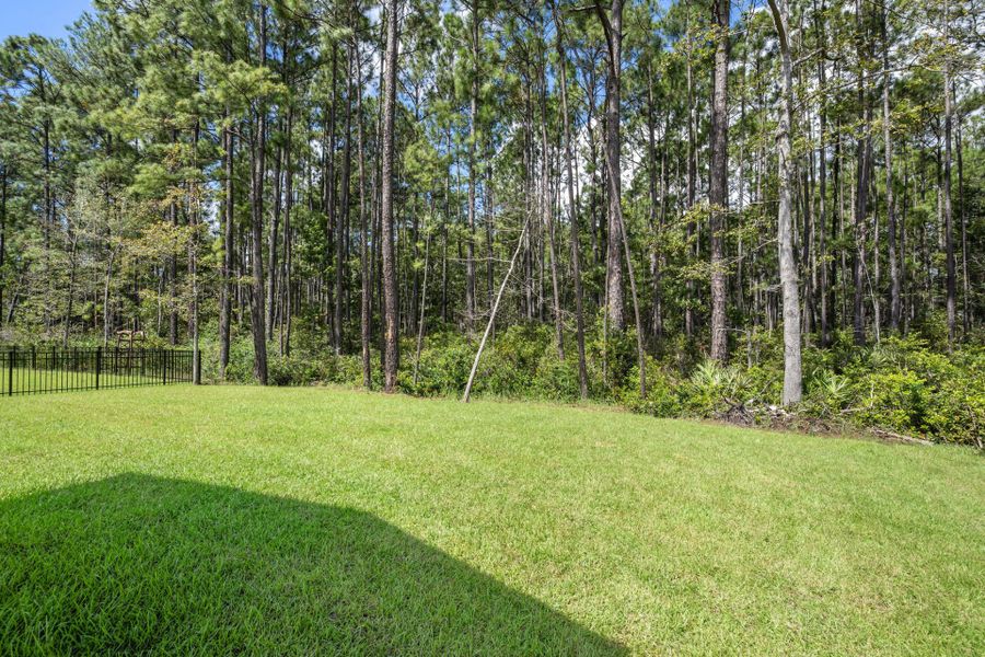 Natural landscape and outdoor views near Waterways in Richmond Hill (Image 64).